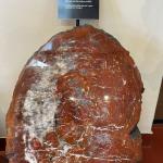 2023OTRA_752 (May 07, 2023)